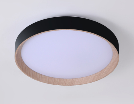 Накладной светильник Ambrella Light FZ1324