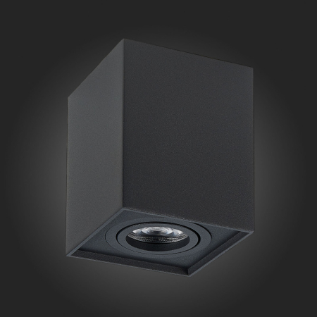 Накладной светильник ST-Luce ST109.407.01