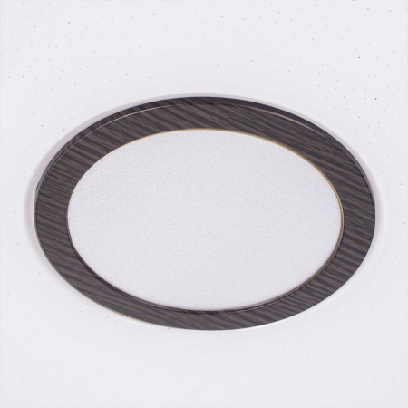 Накладной светильник Citilux CL703A205G