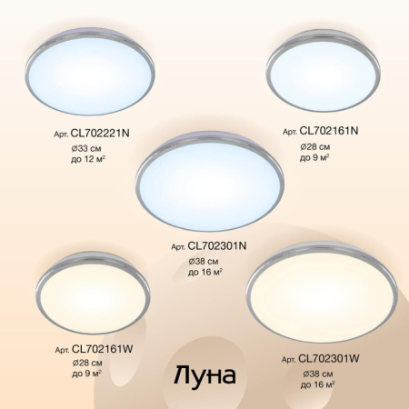 Накладной уличный светильник Citilux CL702161N