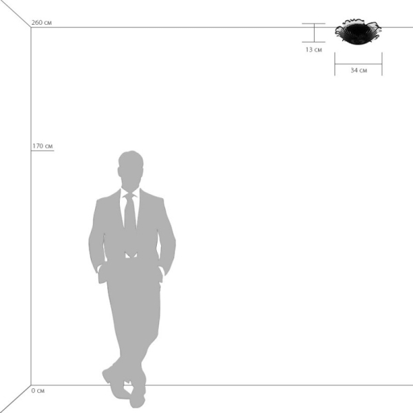 Накладной светильник Lightstar 601033