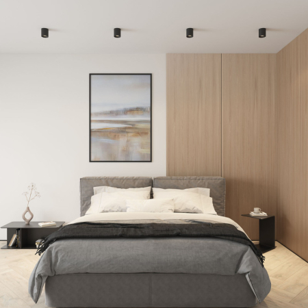 Накладной светильник Denkirs DK3090-BK