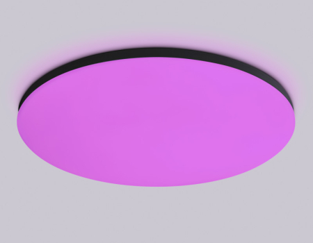 Накладной светильник Ambrella Light FZ2006