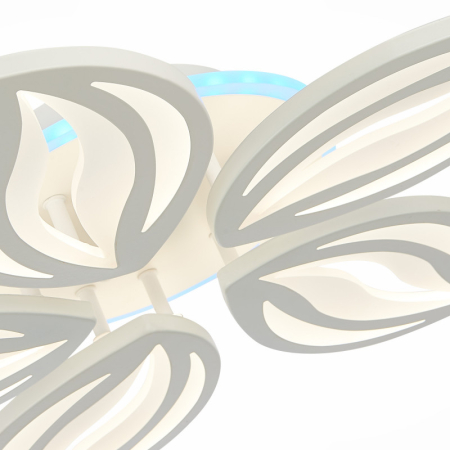 Накладная люстра EVOLED SLE501352-05RGB