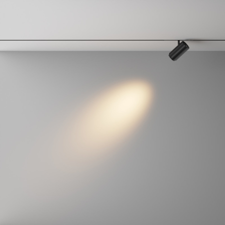 Светильник на шине Maytoni Technical TR244-12W3K-B