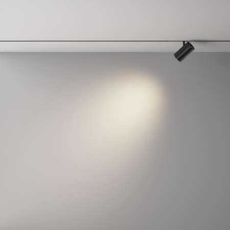 Светильник на шине Maytoni Technical TR243-12W4K-B