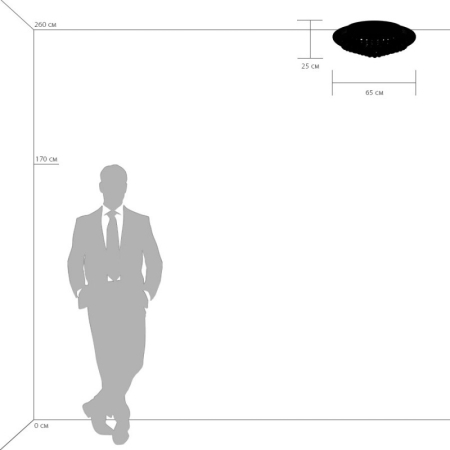 Накладная люстра Lightstar 704174