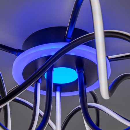 Накладная люстра Citilux CL229A155E