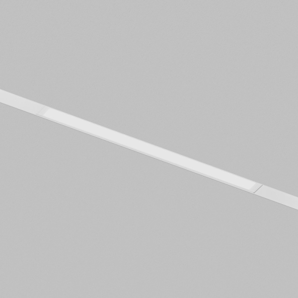 Светильник на шине Denkirs DK8204-WH