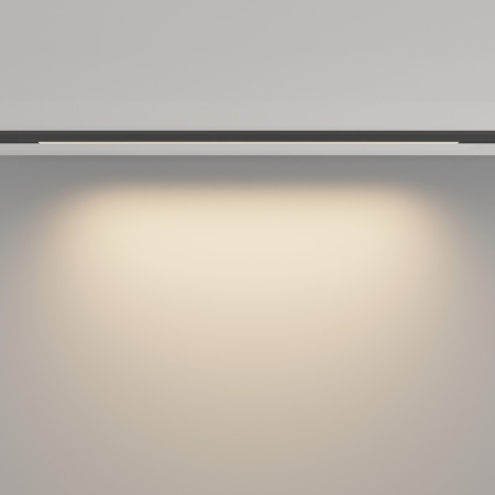 Светильник на шине Maytoni Technical TR190-1-10W3K-B