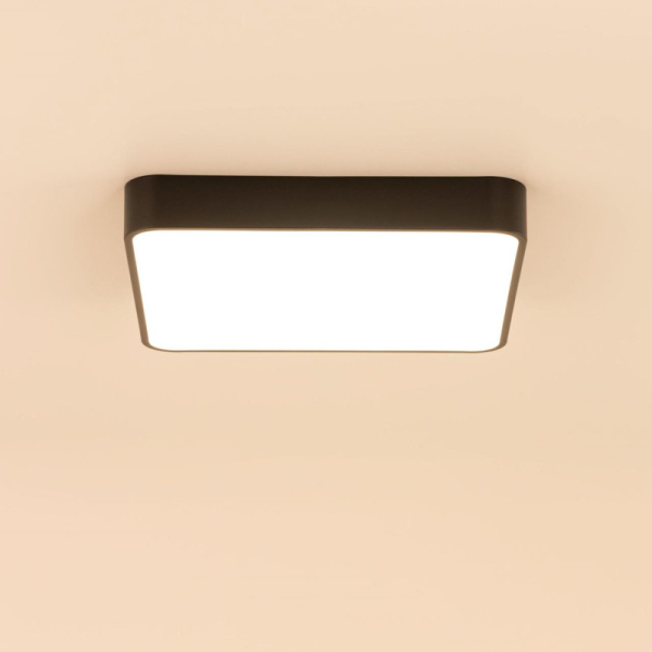 Накладной светильник Citilux CL724K70G1