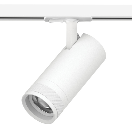 Светильник на шине Lightstar C4206SS