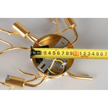 Бра APLOYT APL.848.01.03