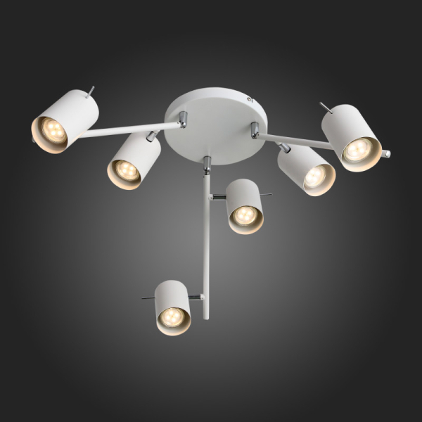 Накладной светильник ST-Luce SL597.502.06