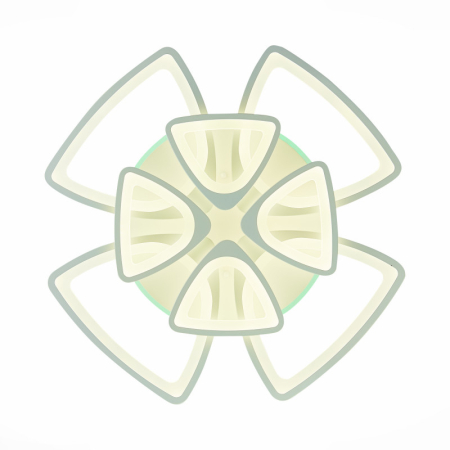 Накладная люстра EVOLED SLE501152-08RGB