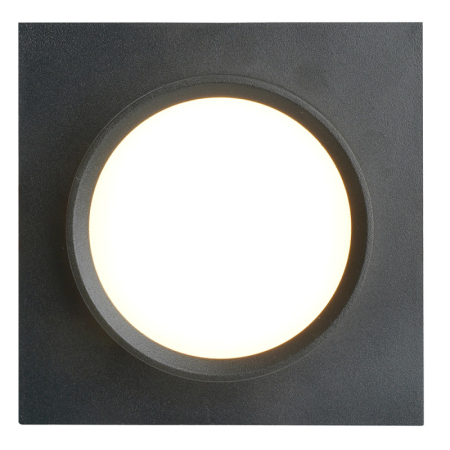 Влагозащищенный светильник Feron 51104