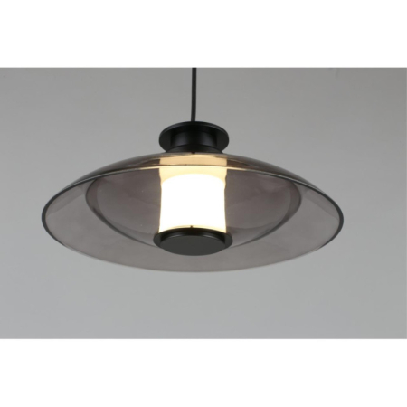 Подвесной светильник APLOYT APL.648.06.10