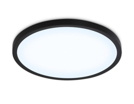 Накладной светильник Ambrella Light FZ1961