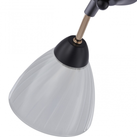 Накладная люстра Arte Milano 324108/5 BK+FG