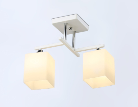 Накладной светильник Ambrella Light TR303111