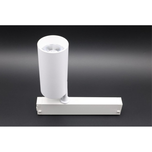 Светильник на шине APLOYT APL.0205.10.20