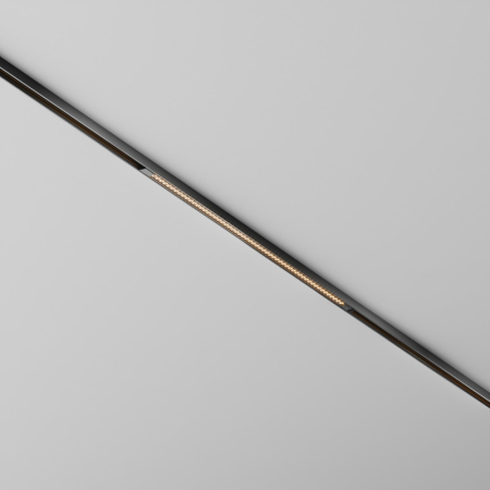 Светильник на шине Maytoni Technical TR241-2-12W3K-B