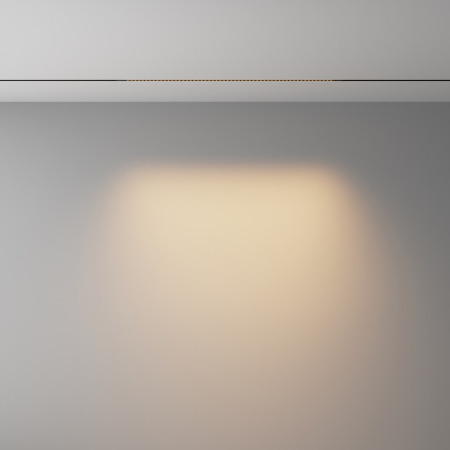 Светильник на шине Maytoni Technical TR241-2-12W3K-B