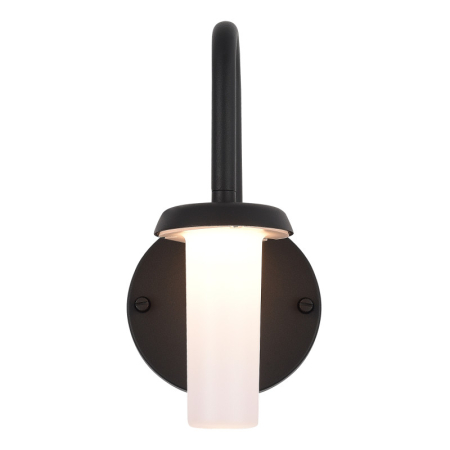 Светильник настенный ST-Luce SL9539.701.01