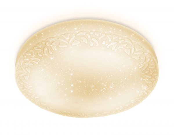 Накладной светильник Ambrella Light FF21