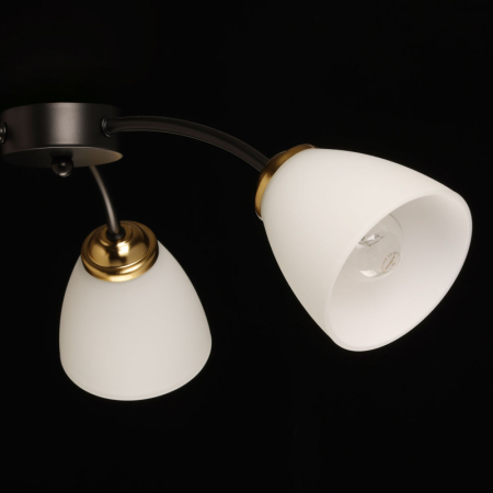 Накладная люстра DeMarkt 676016903