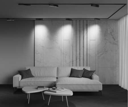 Светильник на шине Maytoni Technical TR242-2-12W4K-B