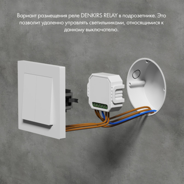 Wi-Fi реле Denkirs RL1002-SM