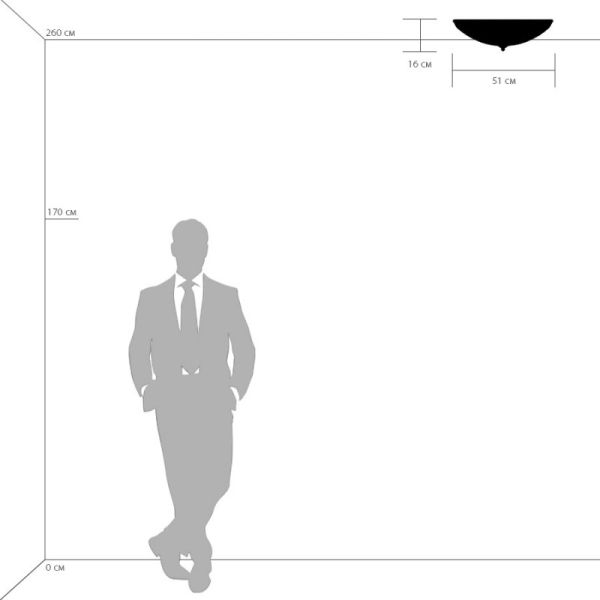 Накладной светильник Lightstar 820264