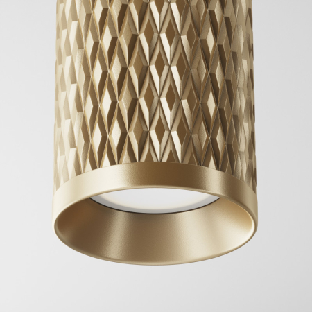 Накладной светильник Maytoni Technical C036CL-01G