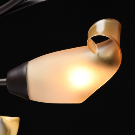 Накладная люстра MW-Light 242017006