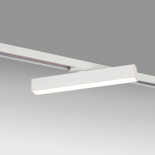 Светильник на шине Lightstar 202046