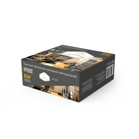 Накладной светильник Gauss BL220