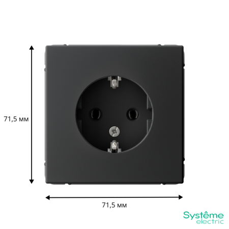Розетка ArtGallery 16А с заземл. механизм карбон SE GAL001043