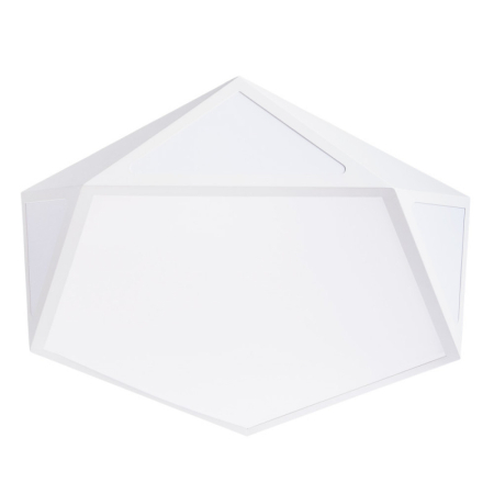 Накладной светильник ARTE Lamp A1931PL-1WH