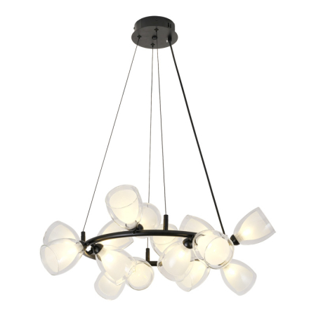 Подвесная люстра Lussole LSP-6063