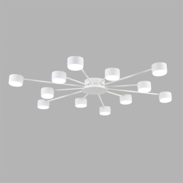 Накладная люстра LUMION 8343/12C