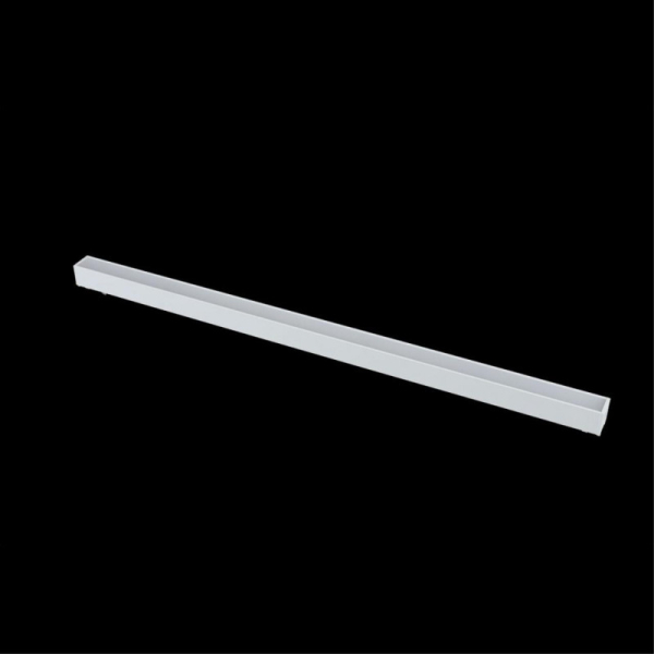 Светильник на шине APLOYT APL.0101.11.20