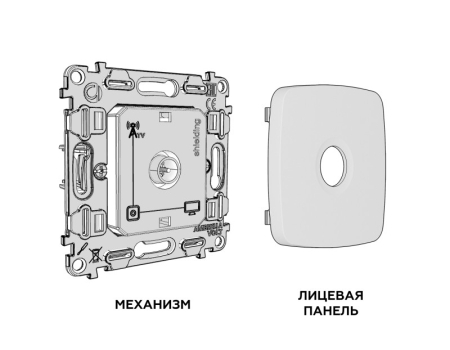 Розетка Ambrella Volt MO133005