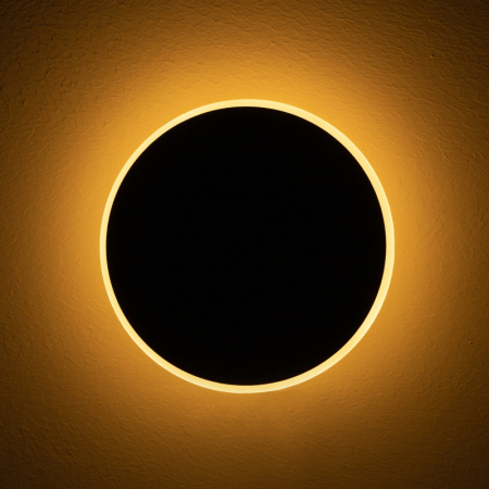 Бра Freya FR6002WL-L13B