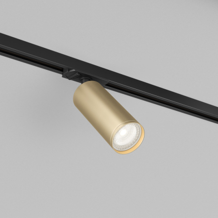 Светильник на шине Denkirs DK6202-BG