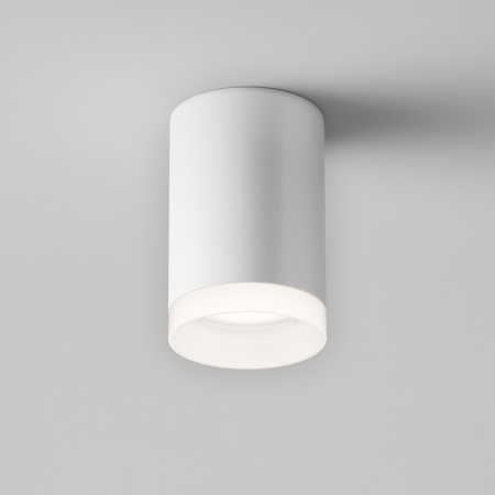 Накладной светильник Maytoni Technical C008CW-01W