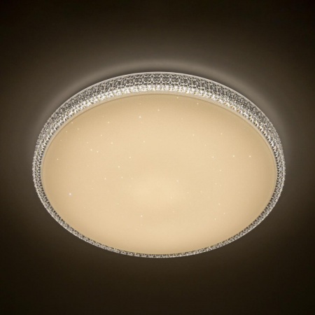 Накладной светильник Citilux CL718A100G