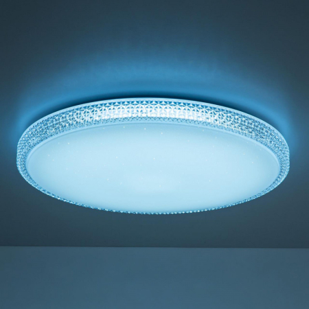 Накладной светильник Citilux CL718A100G