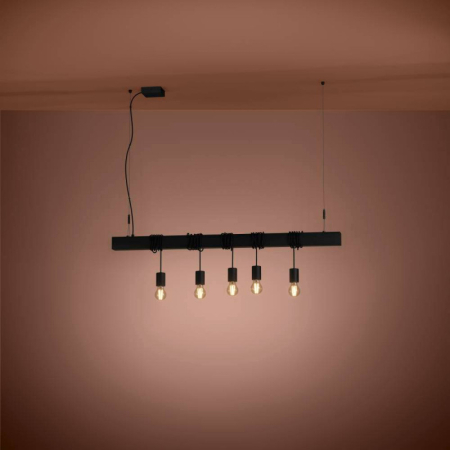 Подвесная люстра EGLO 39937