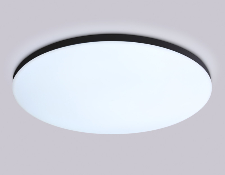 Накладной светильник Ambrella Light FZ2006